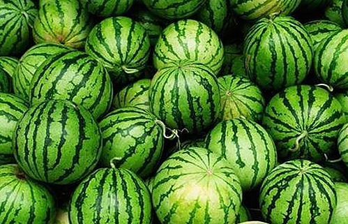 00后家政新势力崛起，娱乐圈吃瓜话题再升级