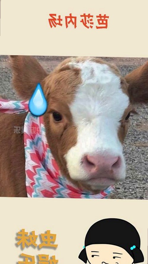 娱乐圈女性生存法则揭秘：从心酸到成长的真实故事