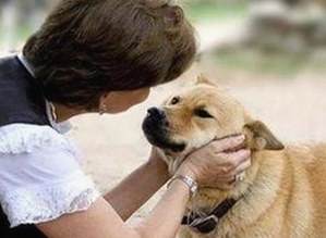 娱乐圈“吃瓜你我她”现象引发热议，网友如何看待明星大瓜？