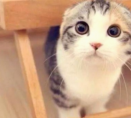 娱乐圈那些不为人知的秘密与吃瓜文化探讨